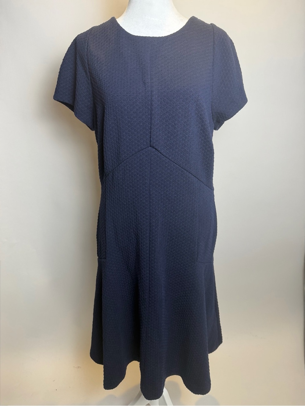 Banana Republic Navy Textured Short-Sleeve Fit & Flare Dress